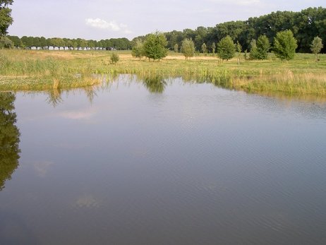 Klicken sie auf das Photo, um das Original zu sehen